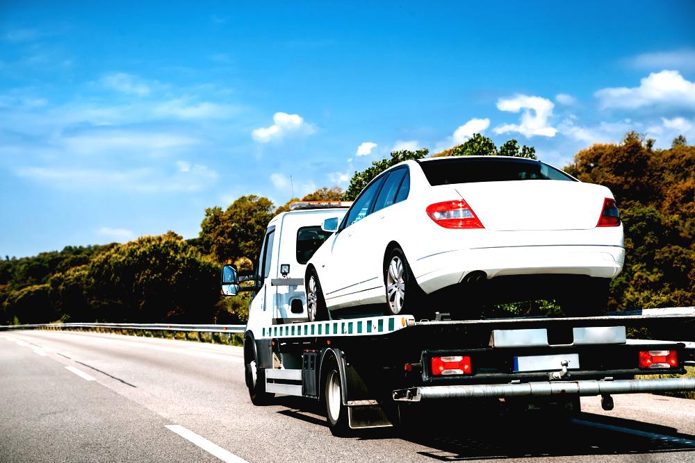 Types of Auto Transport Services